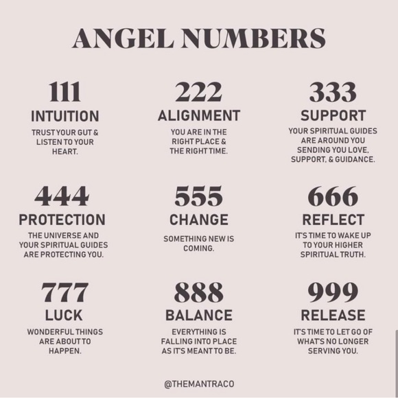 FOLLOW GAME - Picture 9 of 12